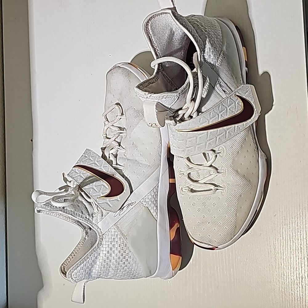 Nike Lebron Basketball Shoes